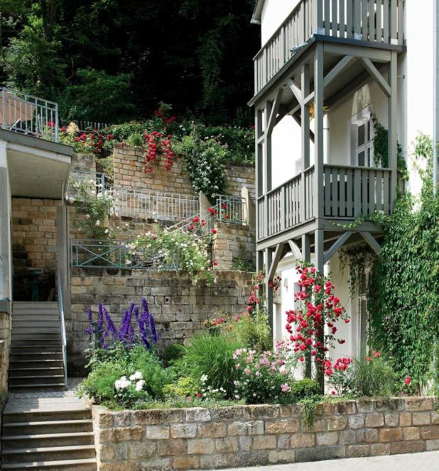 Apartmenthaus Saxonia Bad Schandau Buitenkant foto